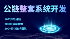 公链整套系统搭建的全面